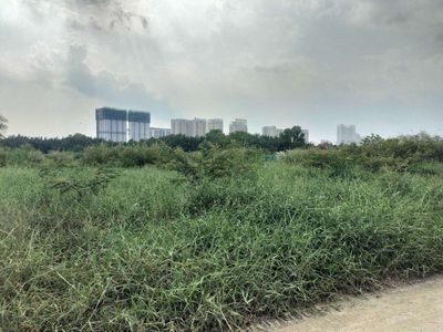Cho thuê đất vườn Nhà Bè