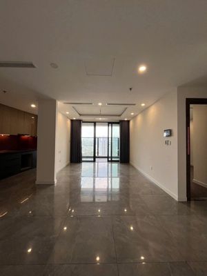 SUNSHINE DIAMOND CHO THUÊ 2PN+ 1kho 135m2 NTCB 14 triệu free pql