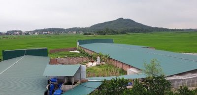 Cần thuê đất >3000m² làm farm ở TPHCM (ưu tiên có thổ cư)