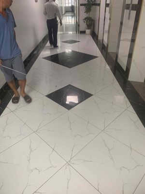 cho thuê căn hộ cc ecohom1