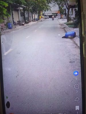 cho thuê đất mặt tiền đường số 1 khu chỉnh trang đô thị thuận giao 2