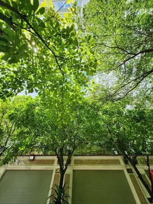 NHÀ TRỆT 2 LẦU TUM HẺM 535 QL 13 SAU CAFE LỘC VỪNG