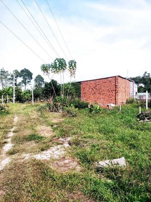 cho thuê 4000m2 đất trung tâm xã Nhuận Đức, có chô ở