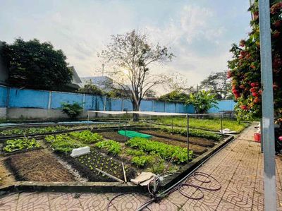 Biệt thự sân vườn 1500m2 hẻm xe hơi gần đường Lã Xuân Oai Q.9