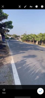 Chính chủ cho thuê đất giá rẻ để giữ đất lâu dài