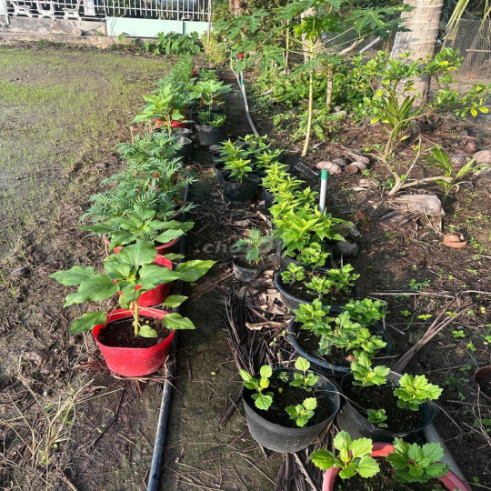 Ban nhà mặt tiền QL63. DT đất 372,3 m2