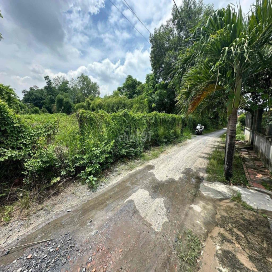 CHO THUÊ 1000m2 PHÚ MỸ, XÃ PHÚ HOÀ ĐÔNG, CỦ CHI