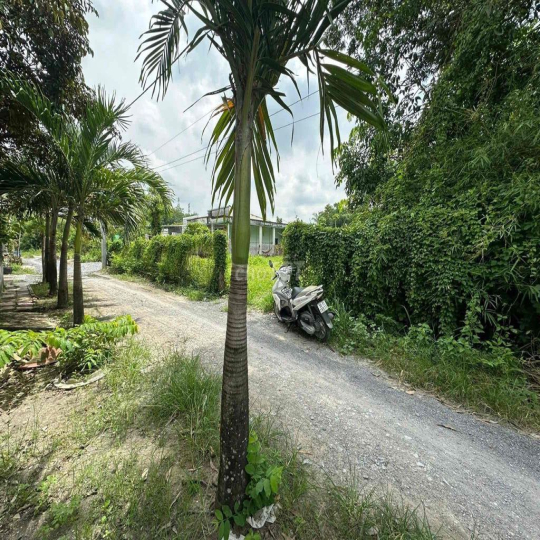 CHO THUÊ 1000m2 PHÚ MỸ, XÃ PHÚ HOÀ ĐÔNG, CỦ CHI