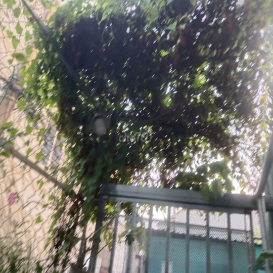 Nhà cho thuê nguyên căn 40 m2 - Phường Linh Chiểu - Thủ Đức