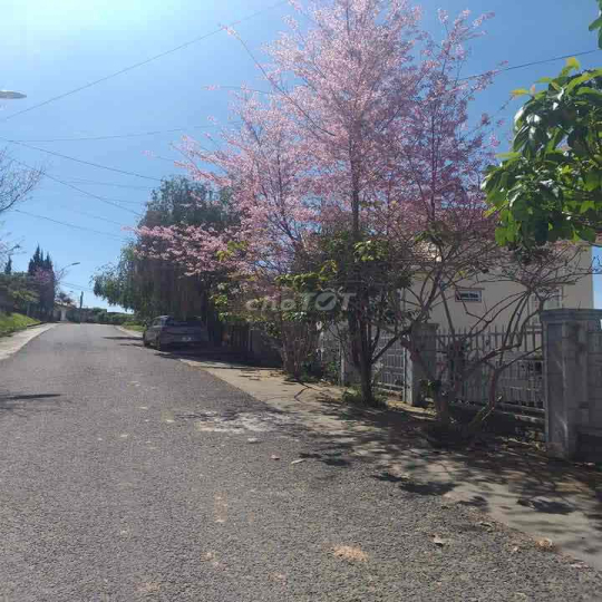 cho thuê đất trống trung tâm Đà Lạt