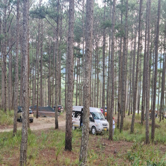 Cho thuê 10.600m2 đất vườn cafe Sim Tím MT QL20, HXH Đà Lạt