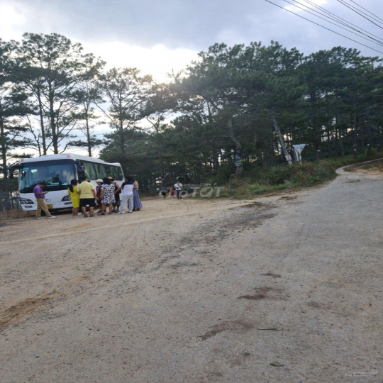 Cho thuê 10.600m2 đất vườn cafe Sim Tím MT QL20, HXH Đà Lạt