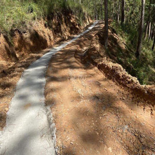 Cho thuê 10.600m2 đất vườn cafe Sim Tím MT QL20, HXH Đà Lạt