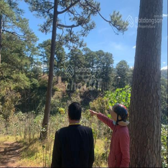 Cho thuê 10.600m2 đất vườn cafe Sim Tím MT QL20, HXH Đà Lạt