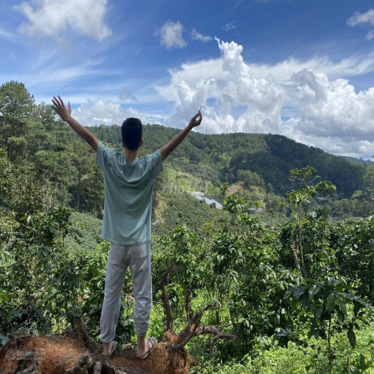 Cho thuê 10.600m2 đất vườn cafe Sim Tím MT QL20, HXH Đà Lạt