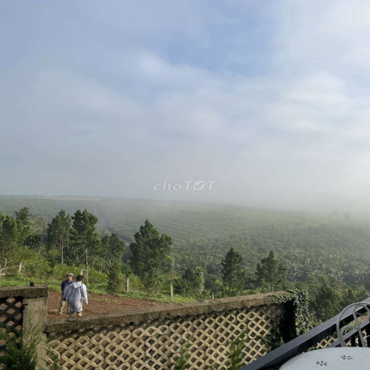 Cho thuê hoặc hợp tác kinh doanh đất 2Mặt Tiền kế KsSenVilla P2Bảo Lộc