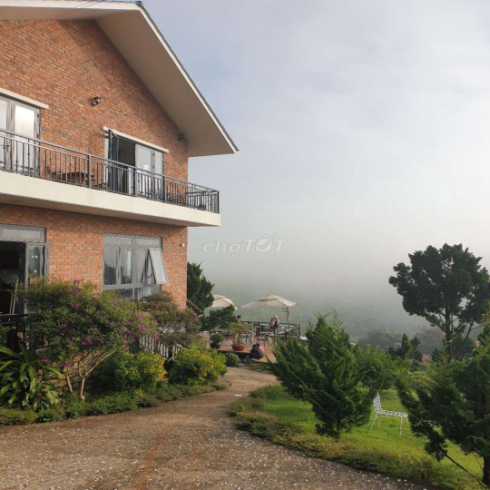 Cho thuê hoặc hợp tác kinh doanh đất 2Mặt Tiền kế KsSenVilla P2Bảo Lộc