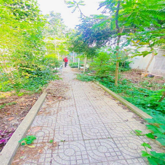 Cho thuê nhà 500 m2 đường 3/2 có vườn cây
