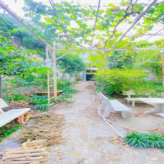 Cho thuê nhà 500 m2 đường 3/2 có vườn cây