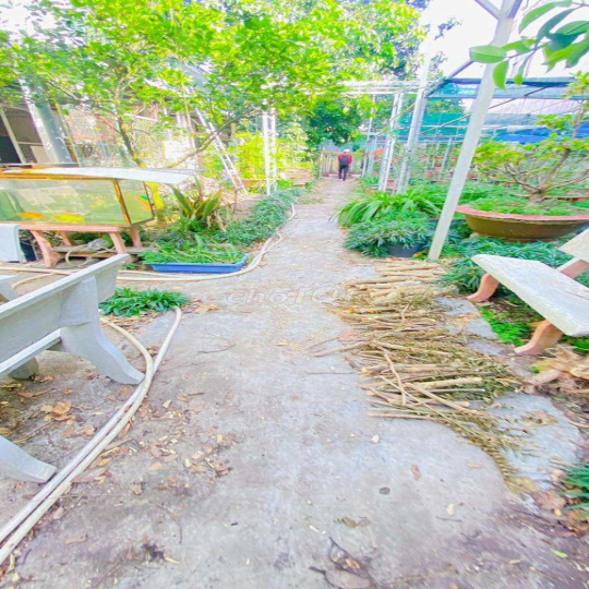 Cho thuê nhà 500 m2 đường 3/2 có vườn cây