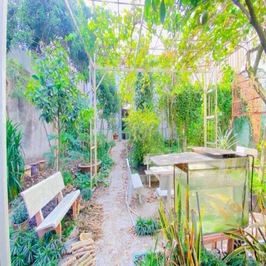 Cho thuê nhà 500 m2 đường 3/2 có vườn cây