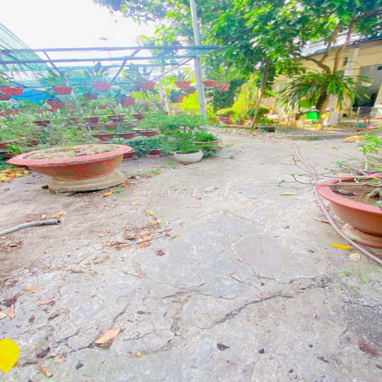 Cho thuê nhà 500 m2 đường 3/2 có vườn cây