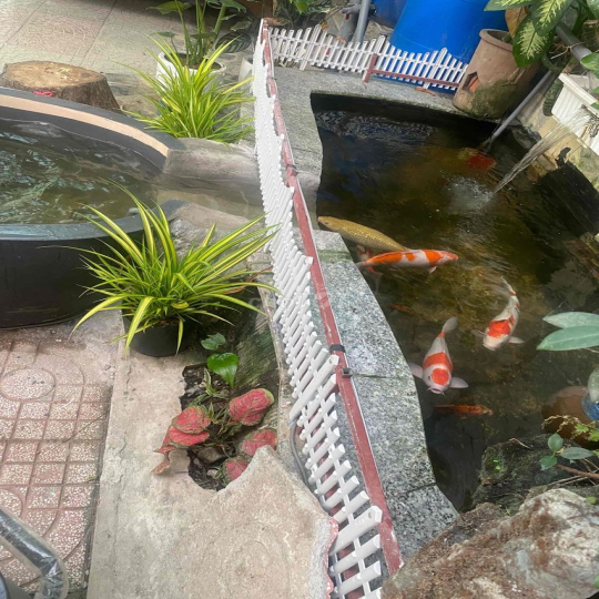 CHO THUÊ NHÀ BIỆT THỰ VƯỜN MẶT TIỀN ĐƯỜNG VĨNH PHÚ 38  280m