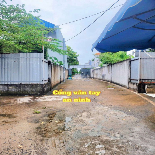 Cần pass 1 phòng mini house. KDC 91B. Để được xe oto