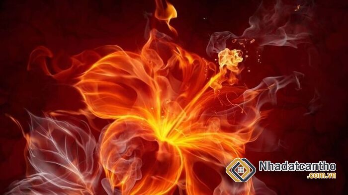 Mệnh Hỏa Hợp Hướng Nào - 3 Hướng Đẹp Nên Chọn Ngay