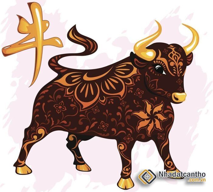 Tuổi Sửu Hợp Hướng Nào? Chọn Hướng Nhà Tốt Cho Người Tuổi Sửu