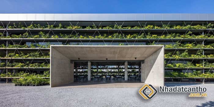 Nhà Xưởng Xanh: Xu Hướng Của Tương Lai