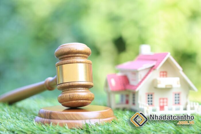 Điều 100 Luật Đất Đai 2013 Quy Định Gì?