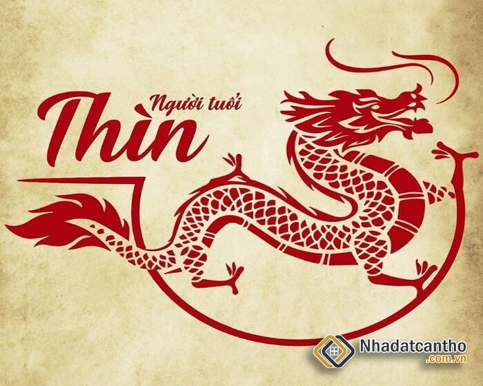 Tuổi Thìn Hợp Hướng Nào? Hướng Đẹp Cho Các Tuổi 1952, 1964, 1976, 1988, 2000