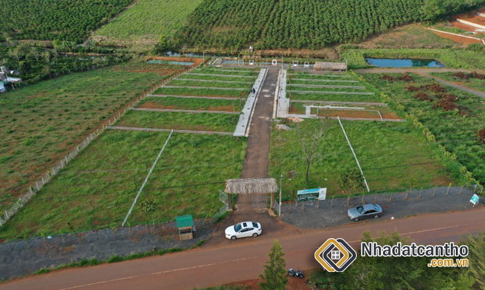 Các Trường Hợp Không Được Tách Thửa Đất Nhà Đầu Tư Cần Biết