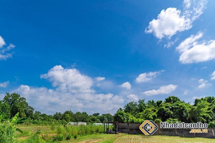 Nhận biết mảnh đất có phong thủy xấu và cách hóa giải