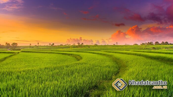 Quy Trình Tách Thửa Đất Nông Nghiệp Tại Việt Nam Năm 2023