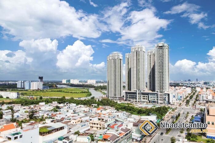 Nhà Đầu Tư Ngừng Bán Đất Cần Giờ Để Chờ Giá Tăng?