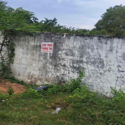 cho thuê đất và phòng trọ