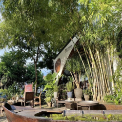 Mặt Bằng Quận 7 Phù Hợp Làm Nhà Hàng Sân Vườn - Cà Phê Không Gian Mở
