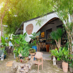 Mặt Bằng Quận 7 Phù Hợp Làm Nhà Hàng Sân Vườn - Cà Phê Không Gian Mở