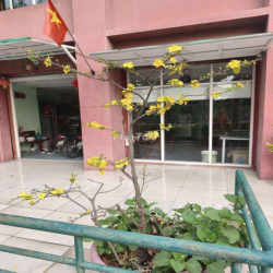 SHOPHOUSE TẠI CHUNG CƯ CONIC ĐÌNH KHIÊM