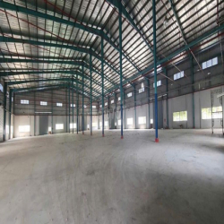 Kho xưởng Cần Giuộc, KCN Tân Kim, Long Hậu, thuê lẻ 1.870m2 - 12.000m2