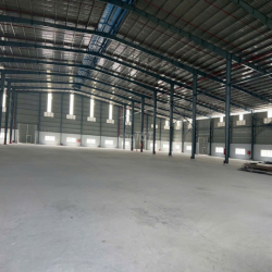Kho xưởng Cần Giuộc, KCN Tân Kim, Long Hậu, thuê lẻ 1.870m2 - 12.000m2