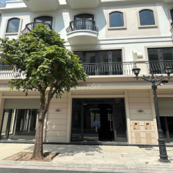 Chính chủ cho thuê Sao Biển 8 – 49m² – giá rẻ – cho sửa + free 1 tháng