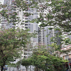 2Pn 2Wc 74m2 tại Eco Xuân có nội thất cho thuê 