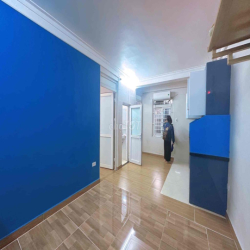 cho thuê căn cc mini 52m2 2 ngủ 2 vs 1 khách bếp