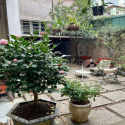 BIỆT THỰ SÂN VƯỜN NGỌC THUỴ 190m2 – Ô TÔ VÀO NHÀ, FULL ĐỒ–23TR/THÁNG!