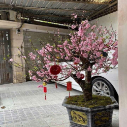 BIỆT THỰ SÂN VƯỜN NGỌC THUỴ 190m2 – Ô TÔ VÀO NHÀ, FULL ĐỒ–23TR/THÁNG!