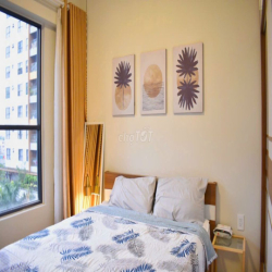 Cho Thuê Căn Hộ Mizuki Park 2Pn 1Wc Có Ban Công