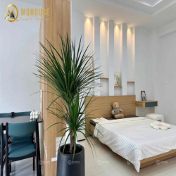 Tân bình phòng rộng tách bếp ban công giá chỉ từ 6tr
